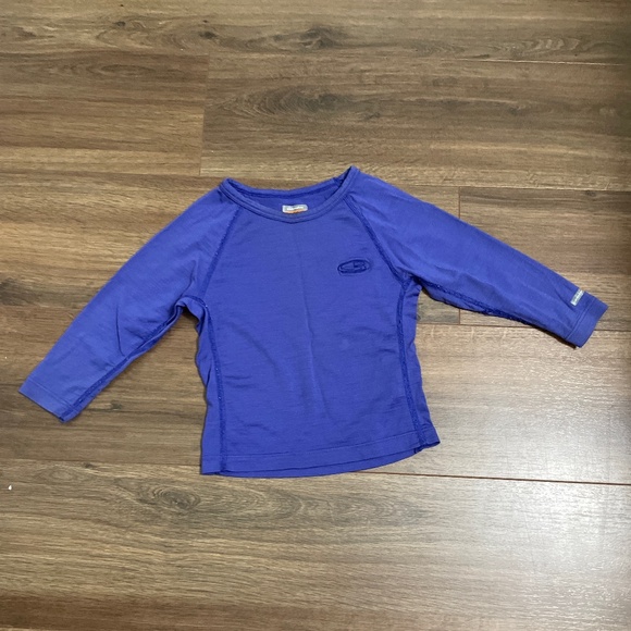 2/$30 Icebreaker 200 100% merino wool top - Picture 2 of 8